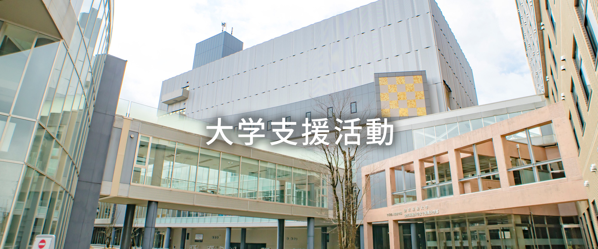 大学支援活動